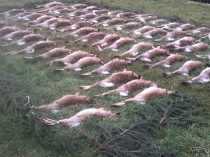 výřad v Náměšti