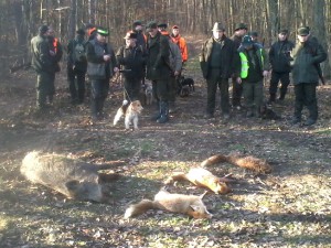 výřad Čučice (jedna liška chybí)