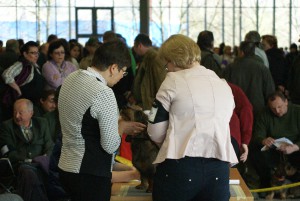 Bodryk z Posluchovských strání s paničkou při hodnocení rozhodčí