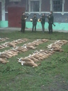 výřad ve Smržicích